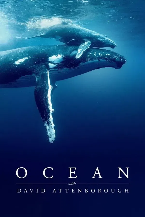 Xem Phim Đại dương cùng David Attenborough Vietsub HD Online