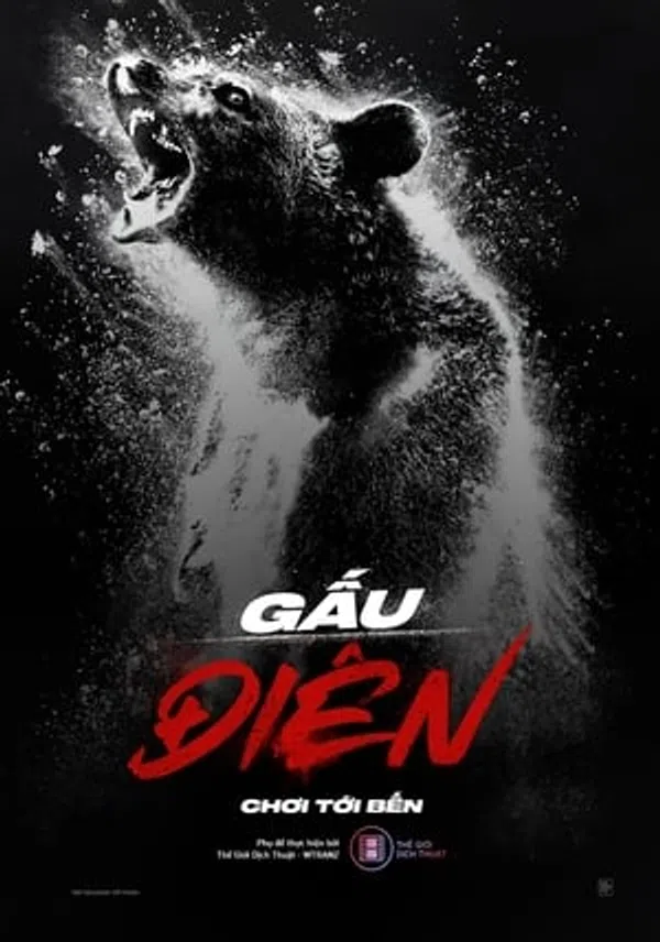 Xem Phim Gấu Phê Pha Vietsub HD Online