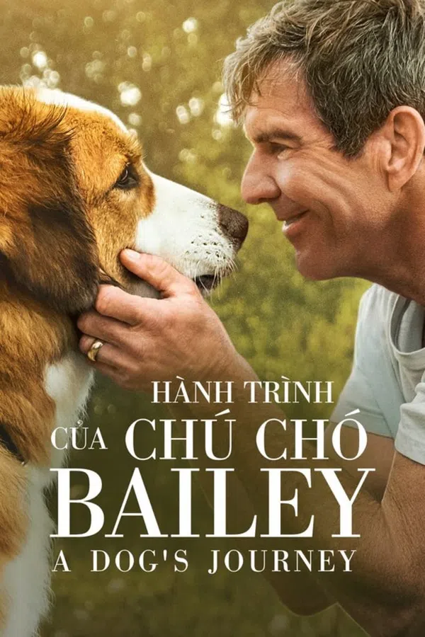 Poster phim Hành Trình Của Chú Chó Bailey trên SubNhanh