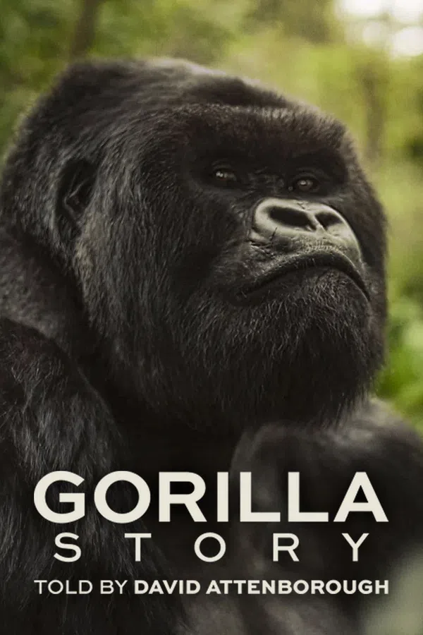 Poster phim Hành Trình Của Khỉ Đột – Qua Giọng Kể David Attenborough trên SubNhanh
