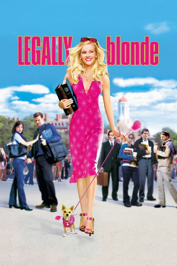 Xem Phim Luật Sư Không Bằng Cấp Vietsub HD Online
