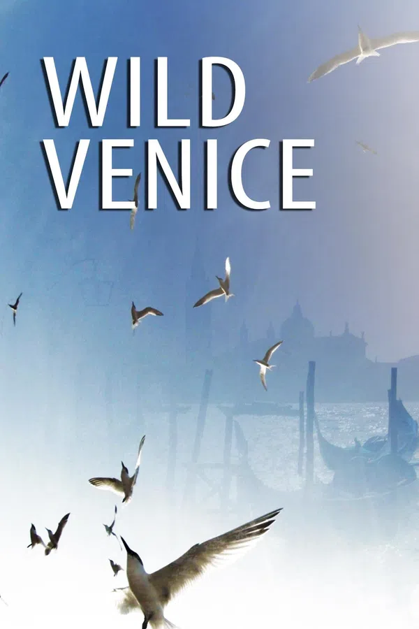 Poster phim Thiên Nhiên Hoang Dã Venice trên SubNhanh
